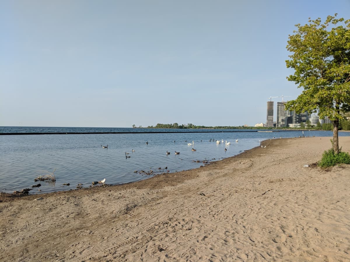 Sunnyside Park — photo 1 of 1