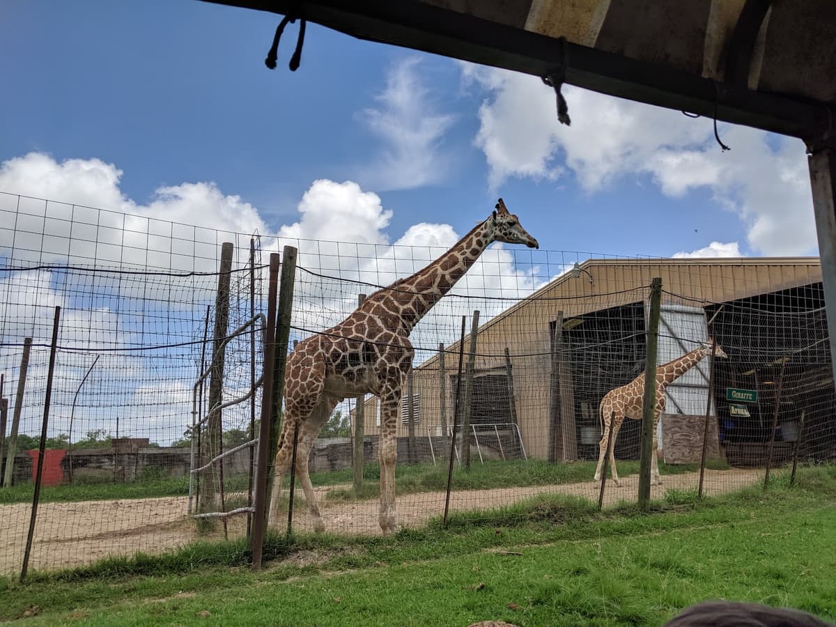 Bayou Wildlife Zoo — photo 1 of 1