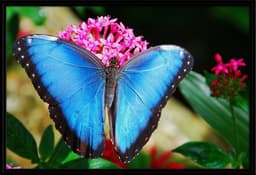 Finca la Puebla Organic Farm and Eco Retreat