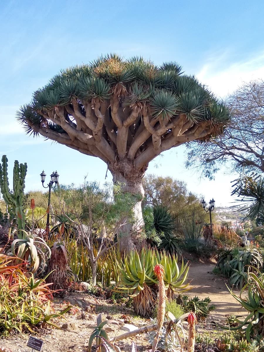 San Diego Botanic Garden — photo 1 of 1