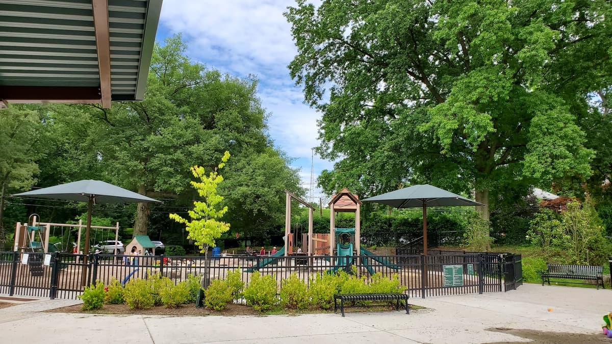 Turtle Park — photo 1 of 1