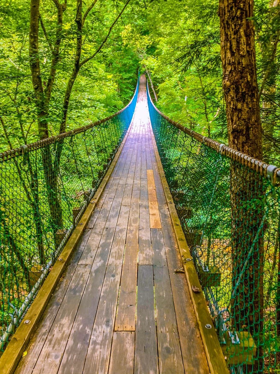 Foxfire Adventure Park — photo 1 of 1