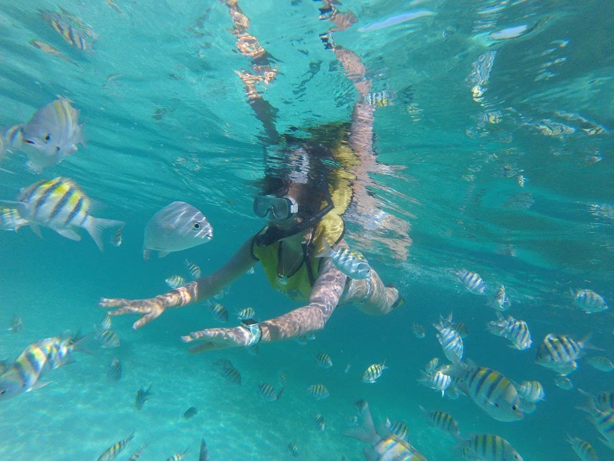 Snorkel Adventure Cancun