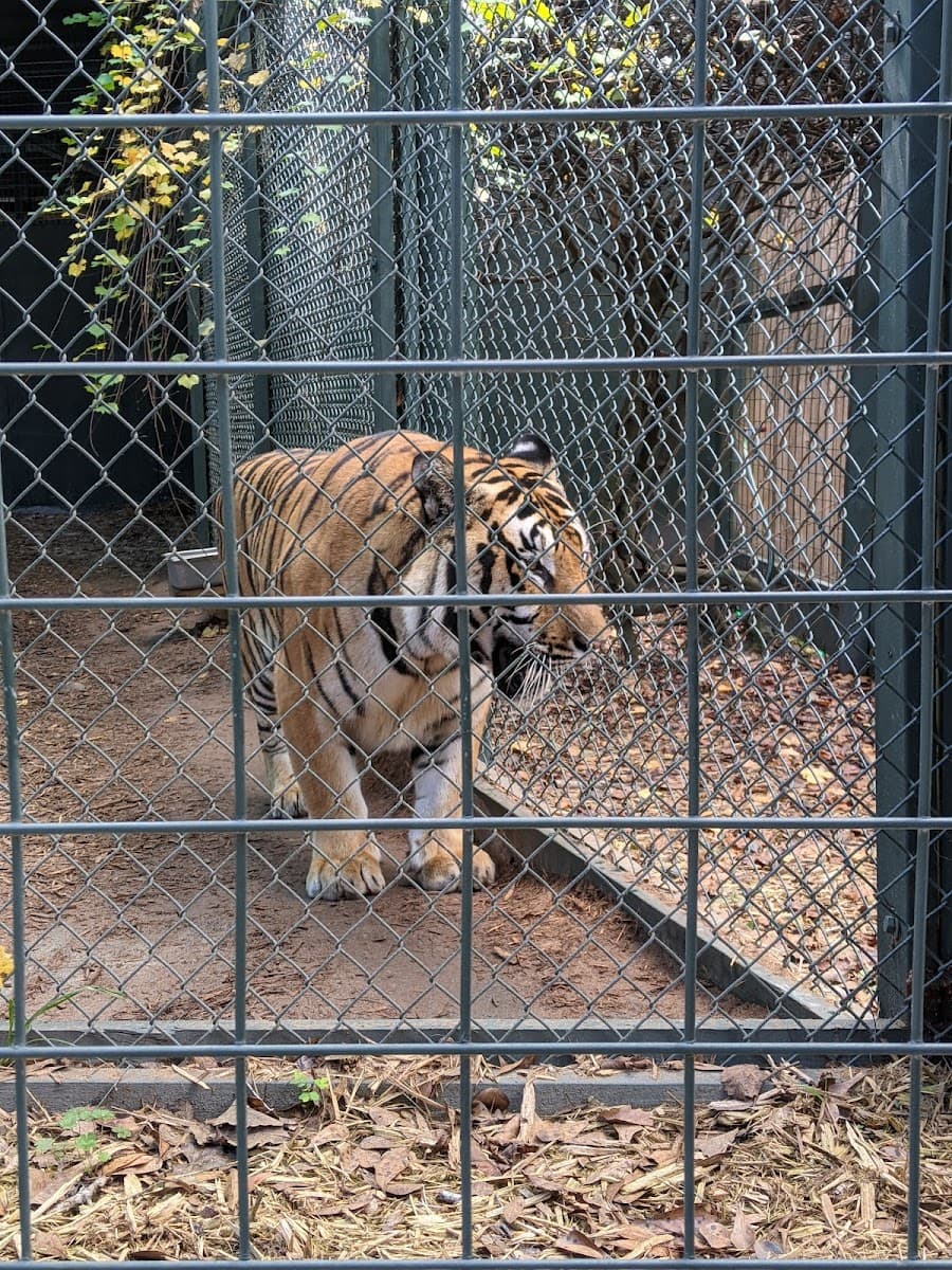 Bee City Zoo & Honey Bee Farm — photo 1 of 1