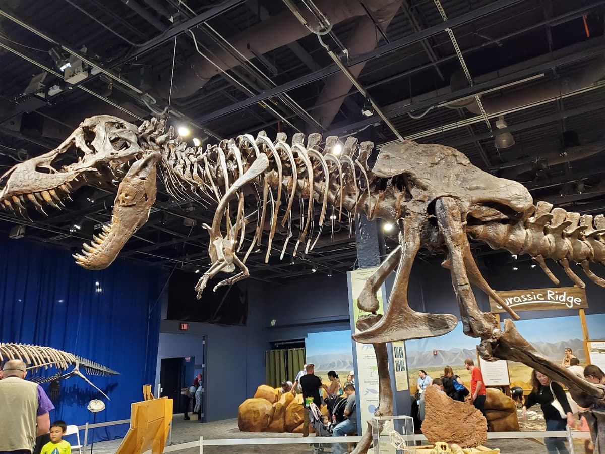 Orlando Science Center — photo 1 of 1