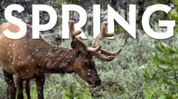 Grand Teton National Park