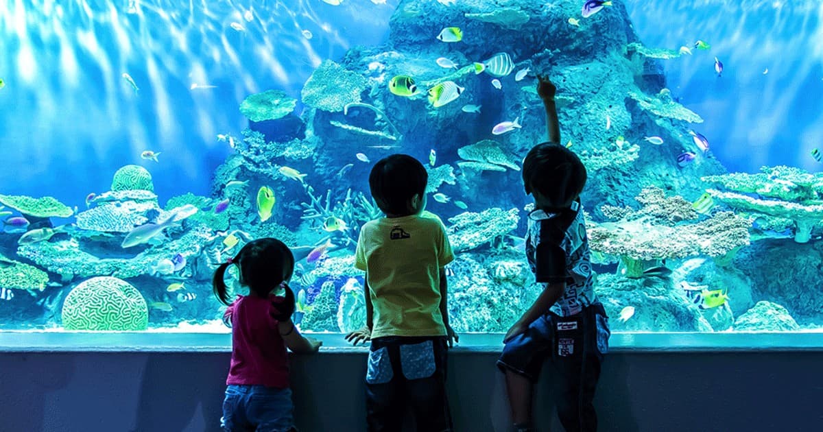 Shinagawa Aquarium