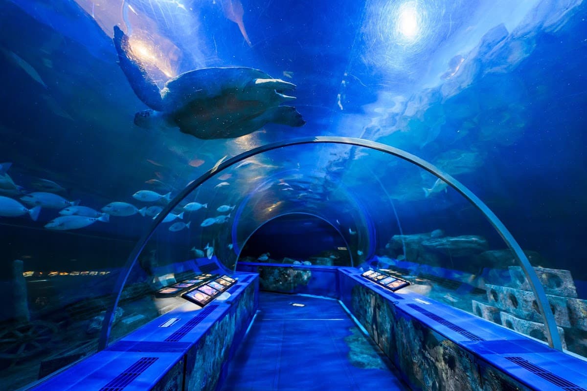 Shinagawa Aquarium