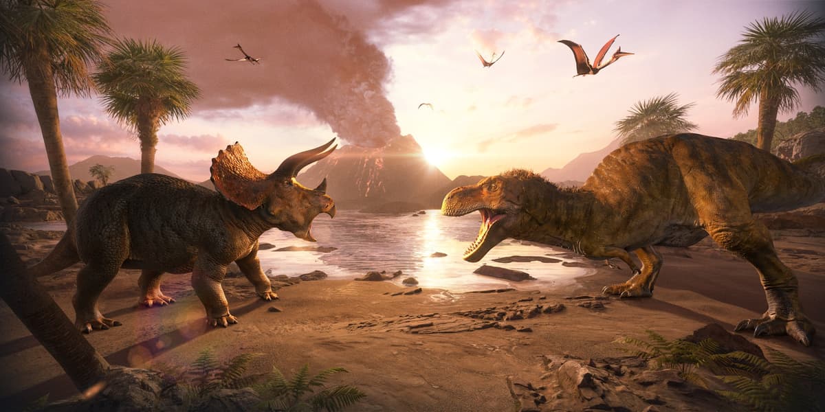 Sandbox VR — photo 1 of 2