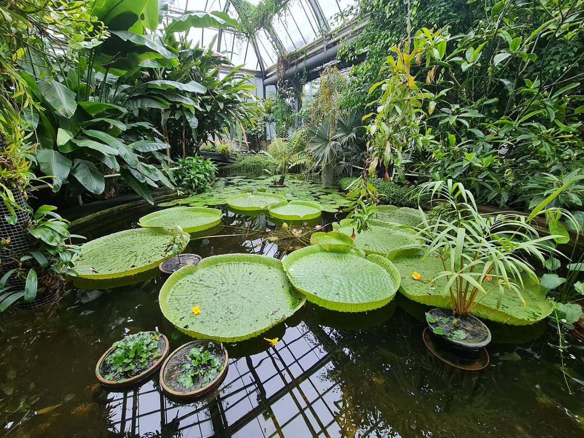 Botanic Garden of the Faculty of Science, Charles University