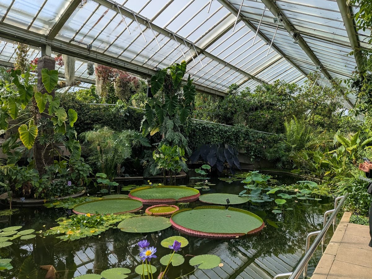 Princess of Wales Conservatory