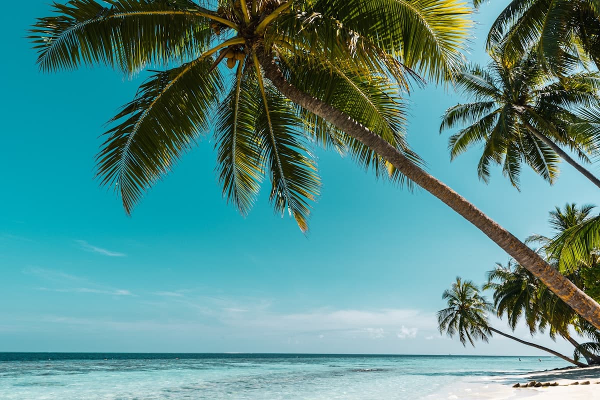 Paradise island Bahamas