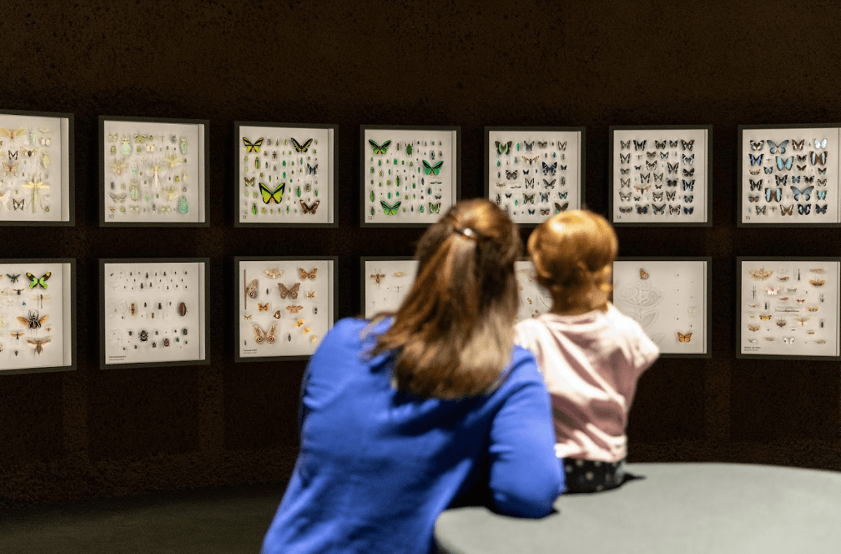 Montreal Insectarium — photo 1 of 2