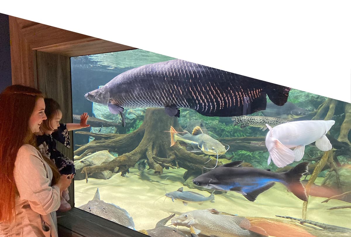 Electric City Aquarium & Reptile Den